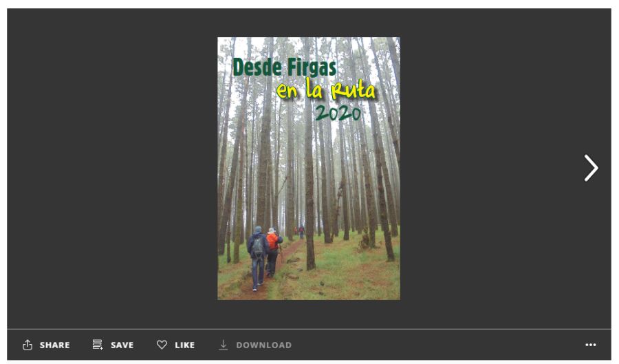 issuu firgas 2020