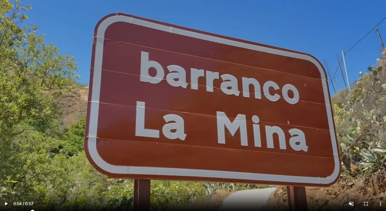 VER VIDEO