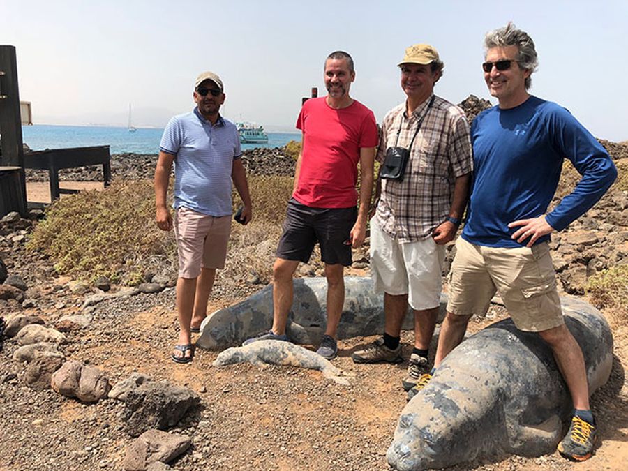 Expertos sobre la foca monje, el miércoles en Isla de Lobos. Foto: Sofía Menéndez.